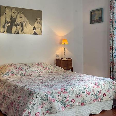 Mas De Charme En Pleine Camargue Βίλα Saint-Gilles  Εξωτερικό φωτογραφία